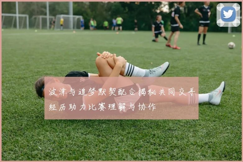 波津与追梦默契配合揭秘共同交手经历助力比赛理解与协作